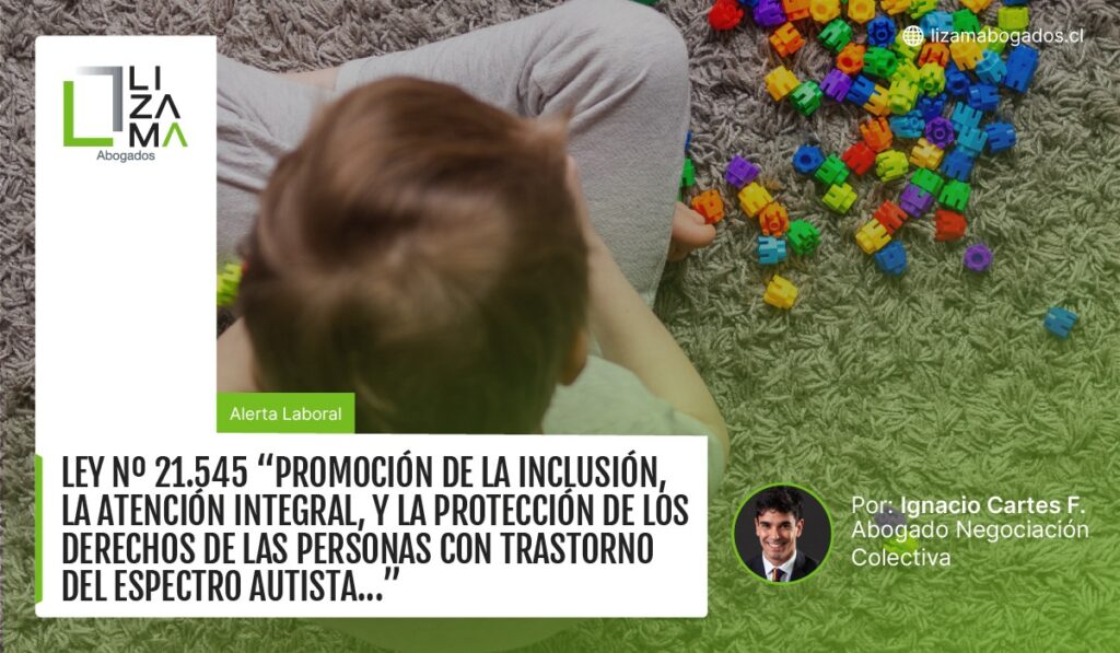 Promoción De La Inclusión, La Atención Integral, Y La Protección De Los Derechos De Las Personas Con Trastorno Del Espectro Autista