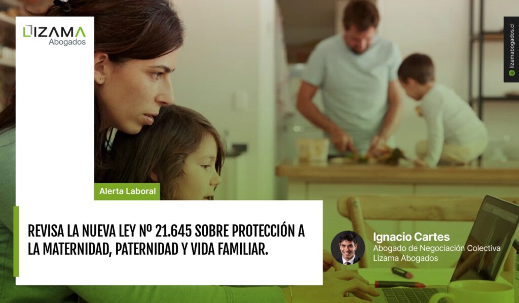 sobre Protección a la Maternidad, Paternidad y Vida Familiar
